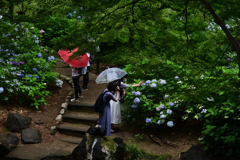 210627長居植物園43