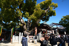 240102b石切神社21