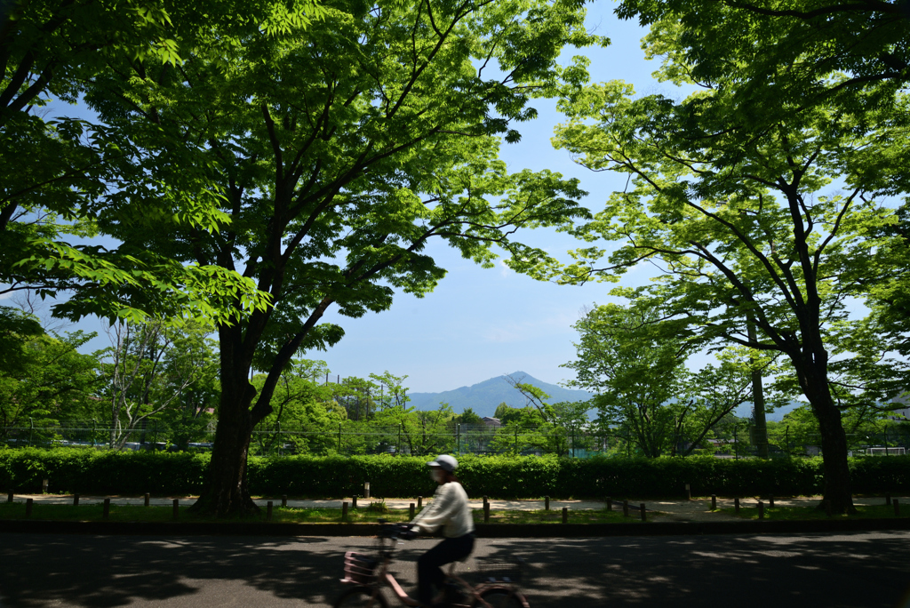 220518京都植物園02
