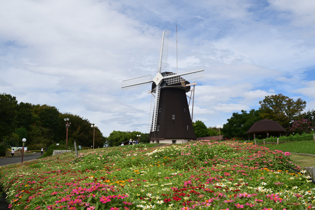 230923鶴見緑地18