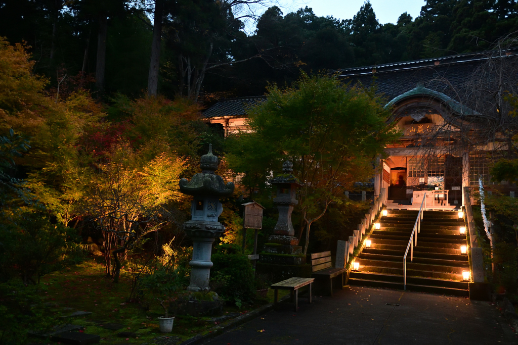 231126e青林寺53