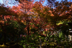 211119d壇林寺13