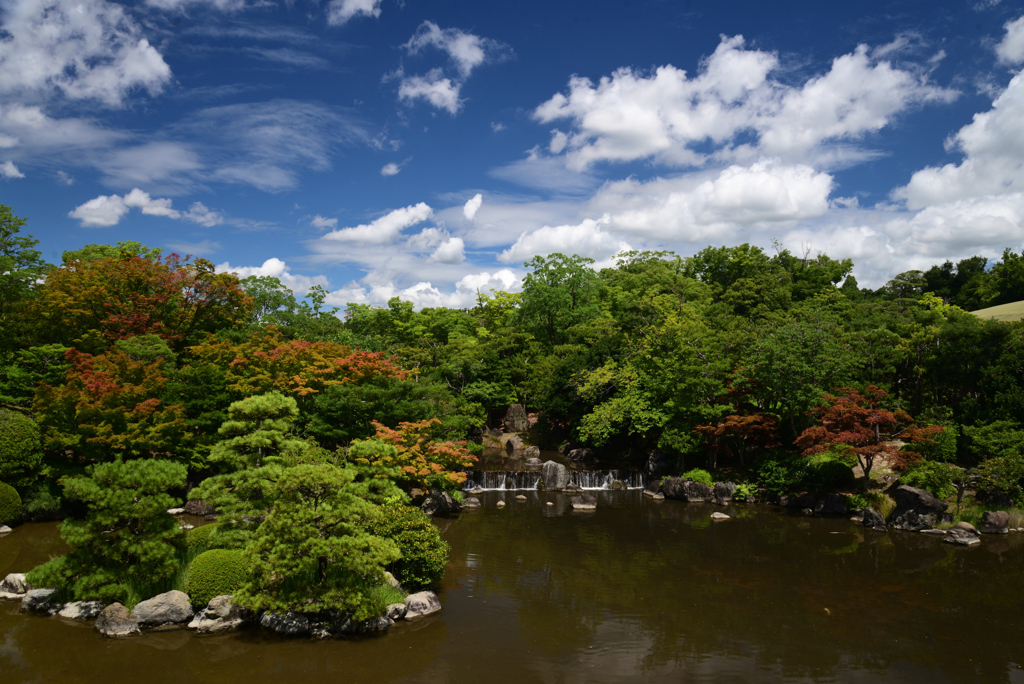 220729万博公園26