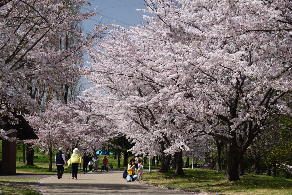 210331a山田池公園35