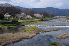 200402a京都植物園92