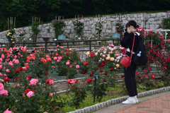 220515a鶴見緑地31