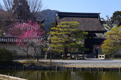 220308梅宮大社14