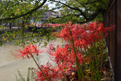 210923b京セラ美術館18