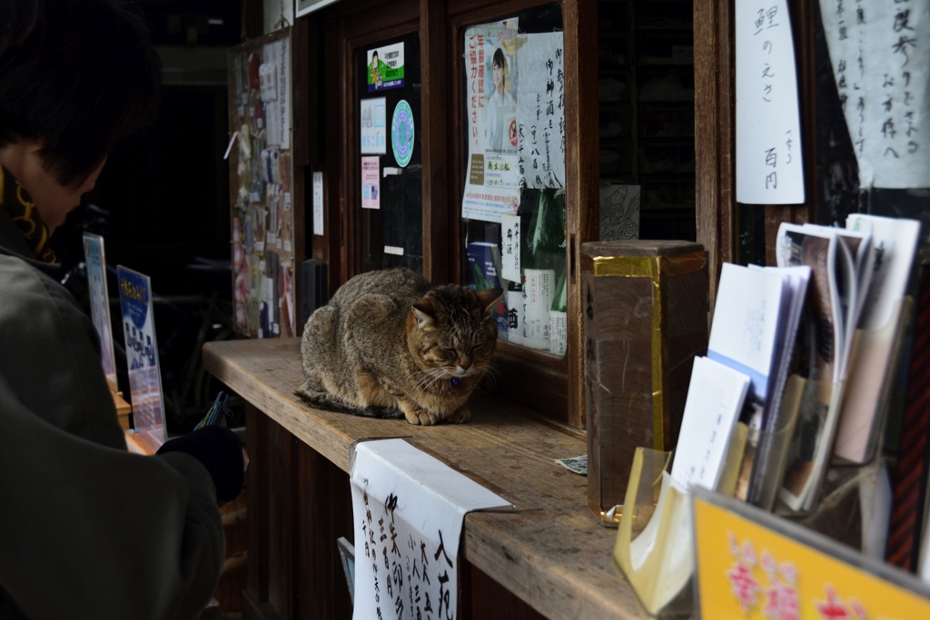 180407a梅宮大社02+