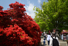 220423長岡天満宮15