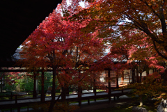 201210c建仁寺33