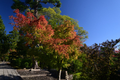 211029c智積院42