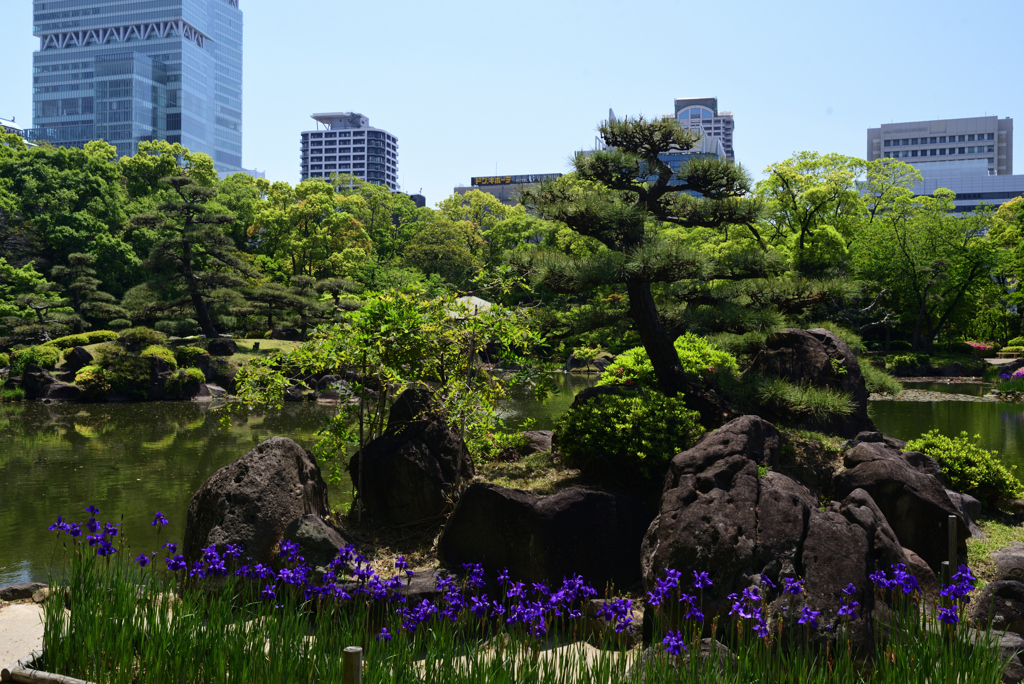 230422a慶沢園08