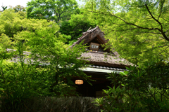 230527b宝厳院28