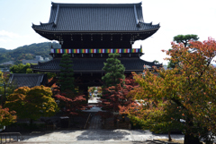 201103a金戒光明寺04
