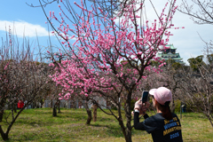 250320a大阪城44