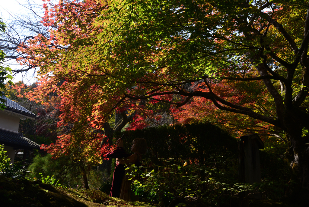 221111c常寂光寺01