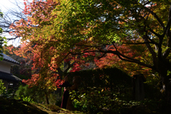 221111c常寂光寺01