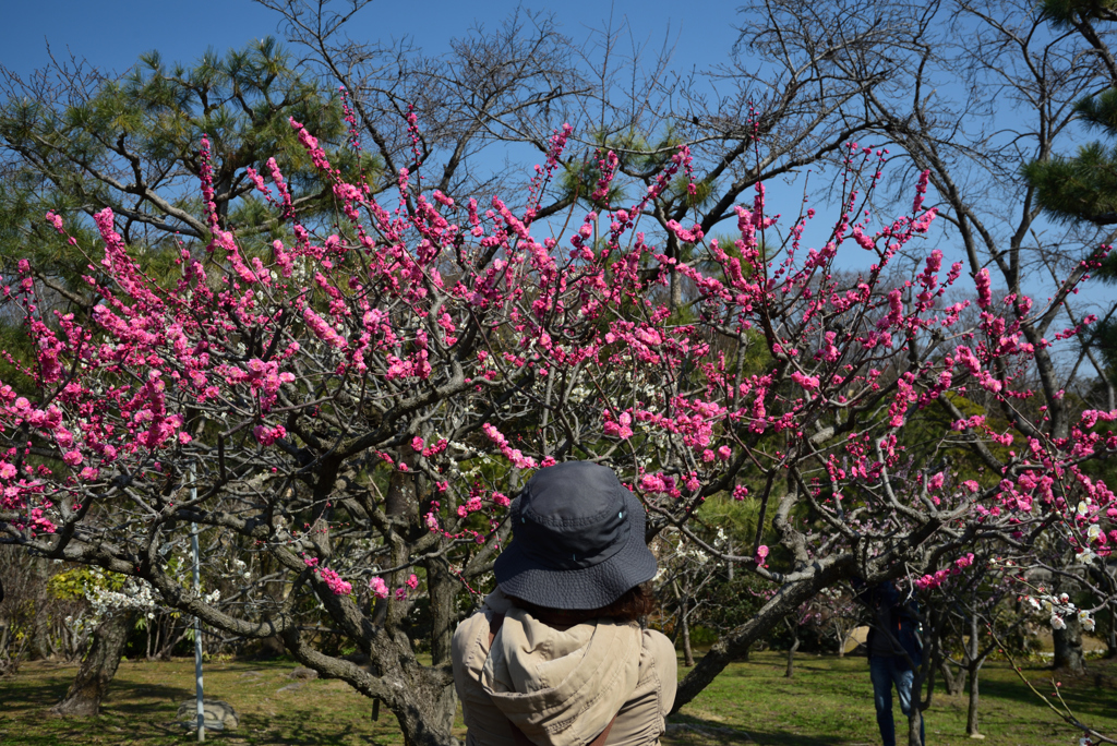 190302a万博公園57
