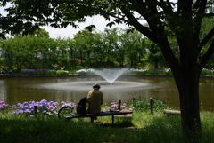 200602a白鷺公園34