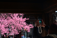240212b興正寺10