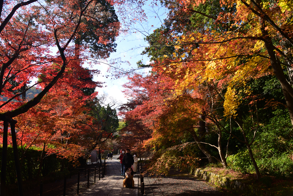 211203a光明寺42