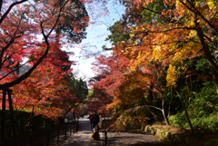 211203a光明寺42