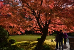 181129b大河内山荘71