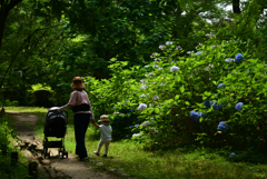 220711京都植物園58