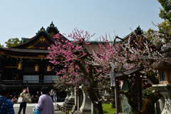 250325c北野天満宮05