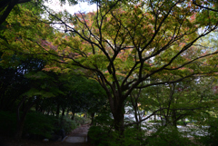 211111c梅小路公園05