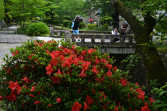 230527c哲学の道04