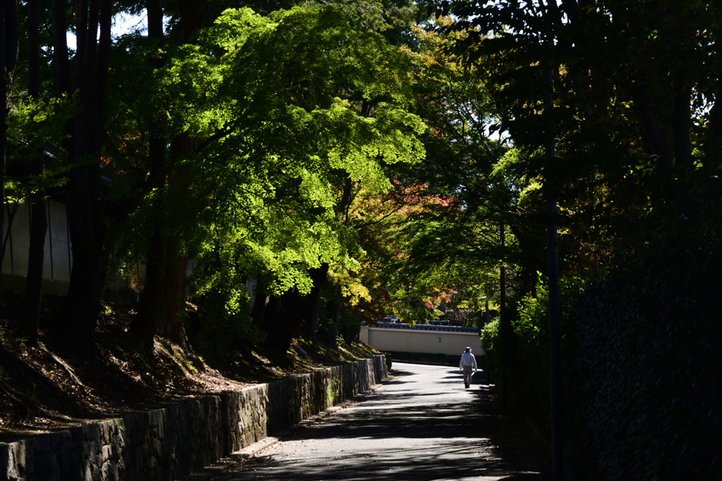 211029a東福寺12