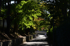 211029a東福寺12