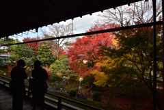 191204a相国寺22