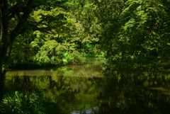 230825京都植物園27
