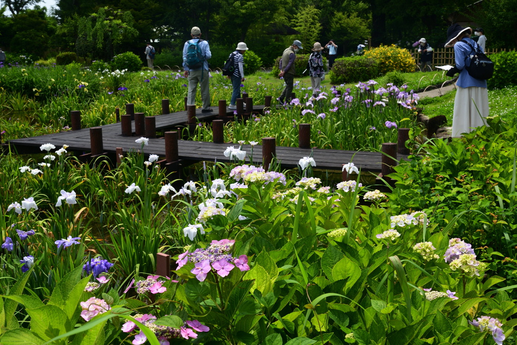 230607城北公園37