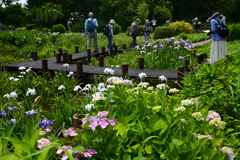 230607城北公園37