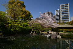 220409b四天王寺35