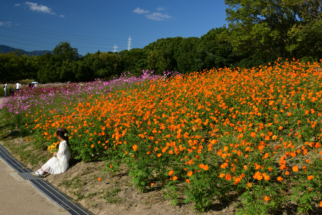 211015万博公園11