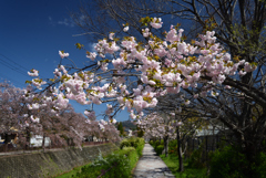 210407a岩倉02