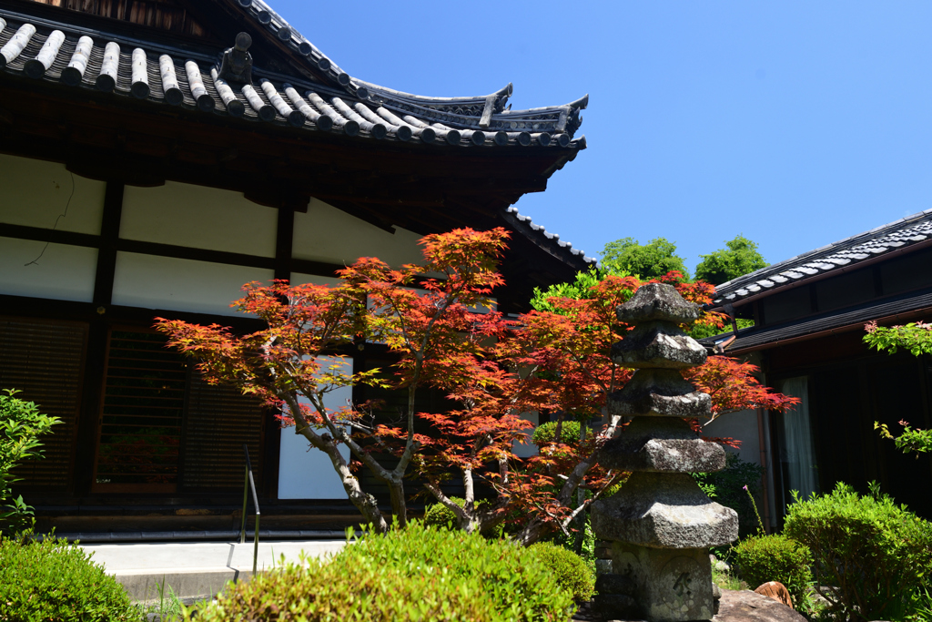 240614恵心院20