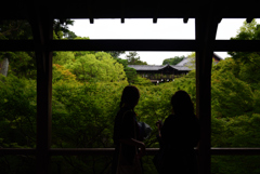 190713a東福寺40