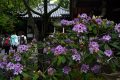 180430b泉湧寺30+
