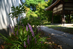 220913a京都御苑05