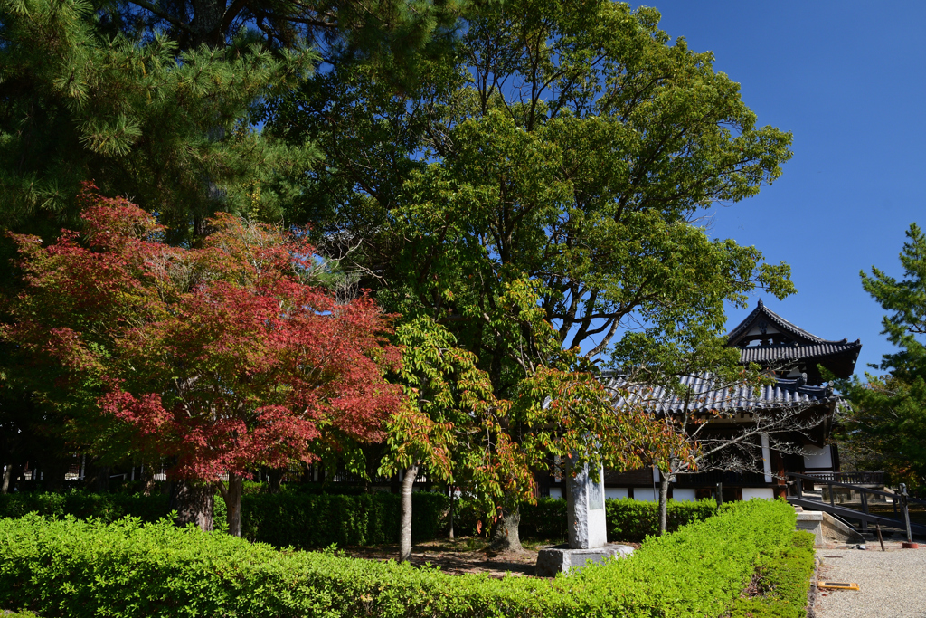 231018c法隆寺69