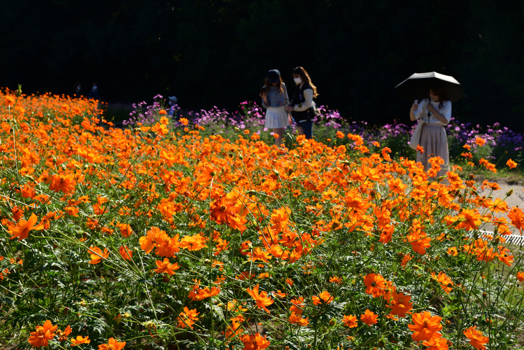 211015万博公園19