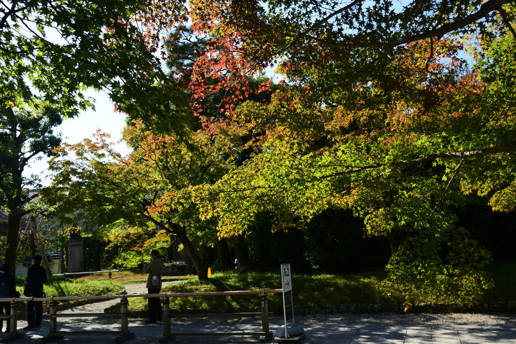 221028a平等院06