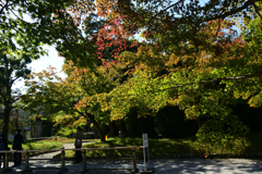 221028a平等院06