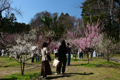 250322京都植物園16